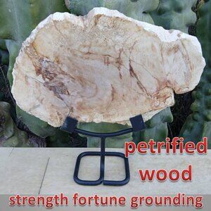 HUGE PETRIFIED WOOD stone rock on stand!! #2 FORTUNE STRENGTH CALMNESS